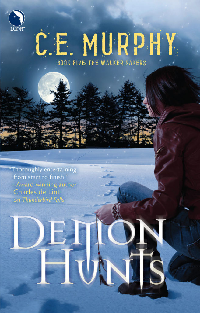 Book Cover: Demon Hunts