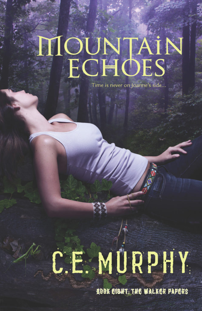 Book Cover: Mountain Echoes