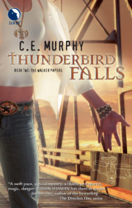 Book Cover: Thunderbird Falls