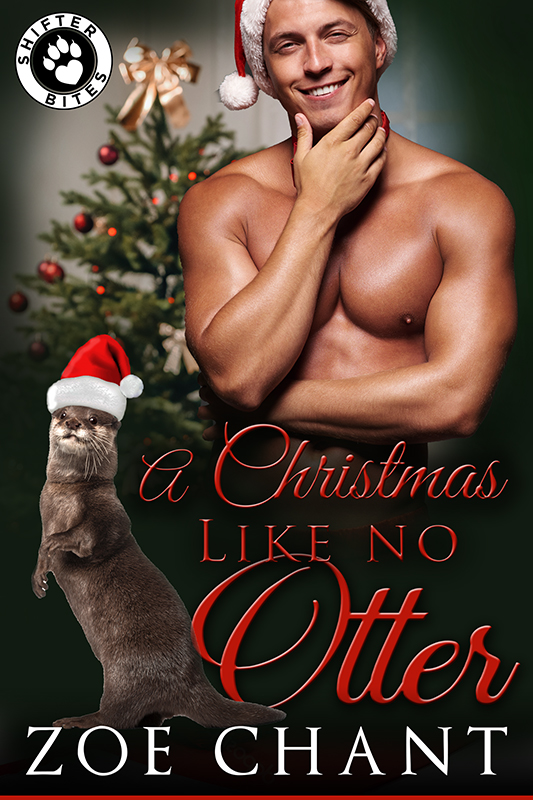 Book Cover: A Christmas Like No Otter