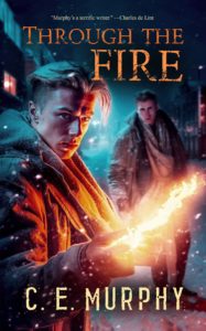 Book Cover: Through the Fire