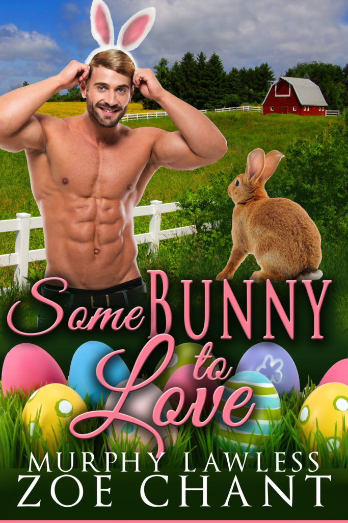 Book Cover: Somebunny to Love