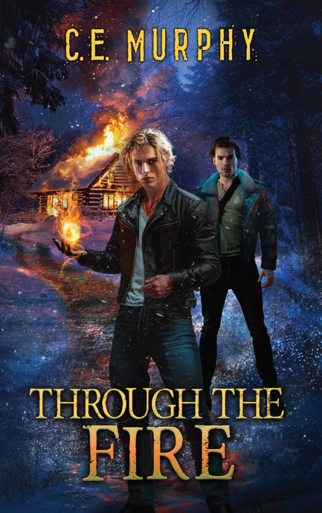 Book Cover: Through the Fire